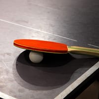 TABLE TENNIS